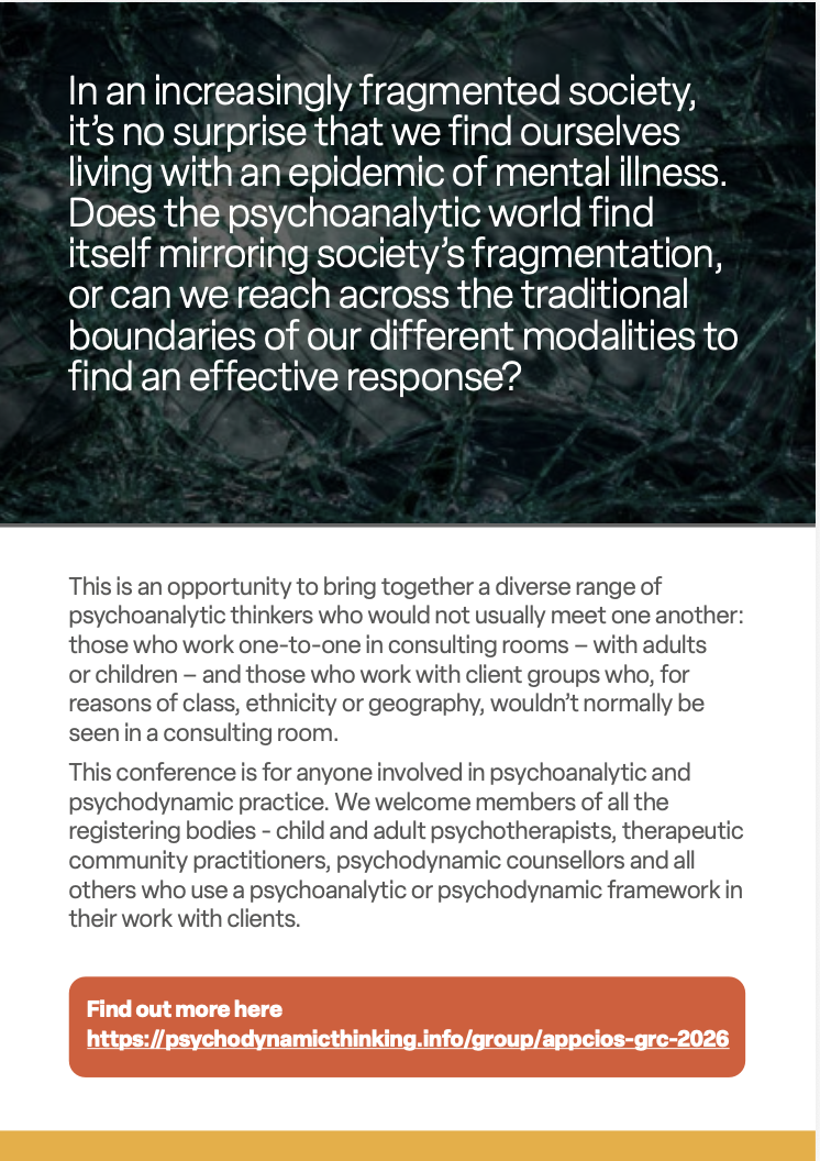 flyer 2